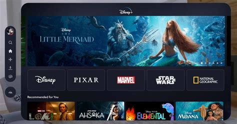 disney+ hoeveel schermen